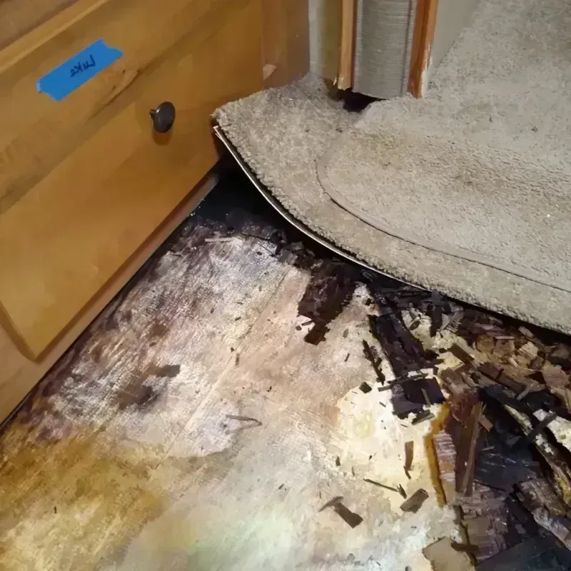 Wood Floor Water Damage in Tsaile, AZ